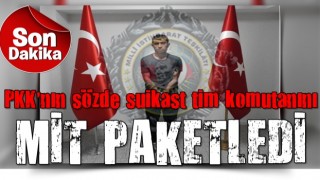 Son Dakika: PKK'nın sözde suikast tim komutanı Burhan Piçak Türkiye'ye getirildi!