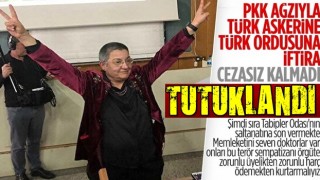 TTB Başkanı Şebnem Korur Fincancı tutuklandı