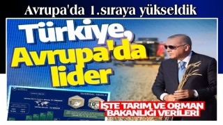 Türkiye, Avrupa'da lider: Destek ödemeleri 21 hasıla 11 kat arttı! İşte Tarım ve Orman Bakanlığı verileri