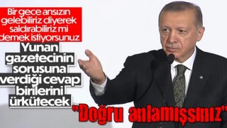 Yunan gazeteciden Cumhurbaşkanı Erdoğan'a 'Bir gece ansızın gelebiliriz' sorusu