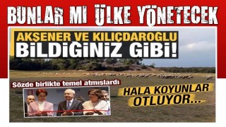 Akşener ve Kılıçdaroğlu sözde birlikte temel atmışlardı, hala koyunlar otluyor!