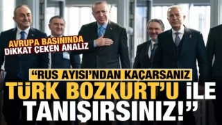 Almanlar yazdı: 'Rus ayısı'ndan' kaçarsanız, 'Türk bozkurtu'yla tanışırsınız!