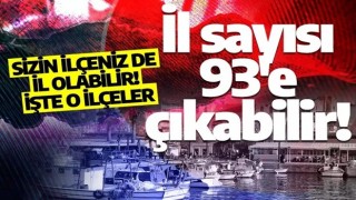 İl sayısı 93'e çıkabilir! Sizin ilçeniz de il olabilir! İşte o ilçeler