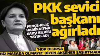 Pençe Kılıç Harekatı'na karşı bildiri yayınlamıştı! Akşener HDP'li baro başkanını ağırladı