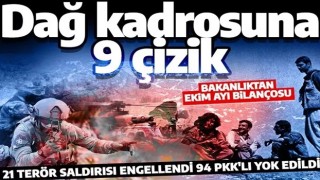 PKK'ya 1 ayda büyük darbe! Dağ kadrosuna 9 çizik