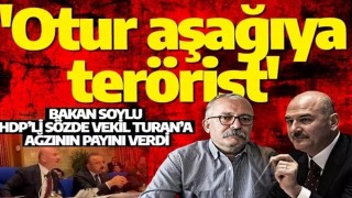 Süleyman Soylu’dan HDP’li Turan’a: Terörist bozuntusu terbiyesiz