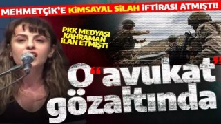 TSK'nın kimyasal silah iftirası atmıştı! Avukat Aryen Turan gözaltında