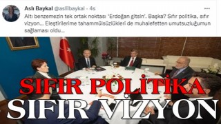 Aslı Baykal ittifakı topa tuttu: 6 benzemezin tek ortak noktası Erdoğan gitsin! Sıfır politika...