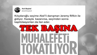 Aslı Baykal'dan Kılıçdaroğlu'na ABD'li danışman tepkisi