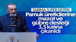 Cumhurbaşkanı Erdoğan'dan pamuk ve ayçiçeği üreticilerine müjde