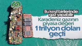 Karadeniz'de keşfedilen doğalgazın uluslararası fiyatı