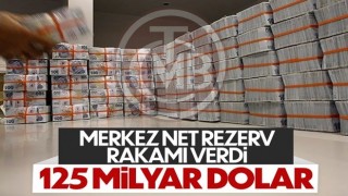 Şahap Kavcıoğlu: Merkez Bankası döviz rezervimiz 125 milyar dolar