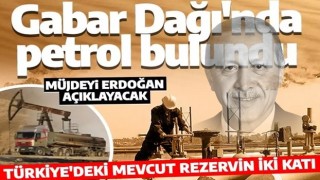 Şırnak'ta petrol bulundu! Müjdeyi Cumhurbaşkanı Erdoğan duyuracak