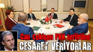 6’lı Masa can çekişen PKK terörüne cesaret veriyor