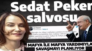 Aslı Baykal'dan Kılıçdaroğlu'na bombardıman: Mafya ile mafya yardımıyla savaşmayı planlıyor