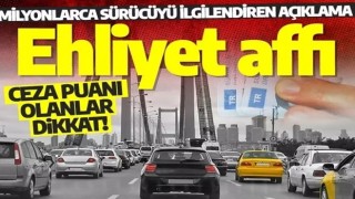 Ehliyet affı kimleri kapsayacak, şartlar nelerdir? Kimlerin ehliyeti iade edilecek? Trafik ceza puanı silindi mi?