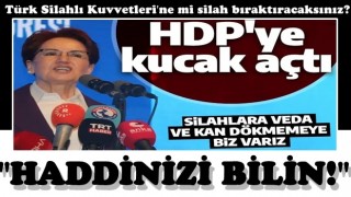 Meral Akşener, Diyarbakır'da HDP'ye kucak açtı: Biz varız