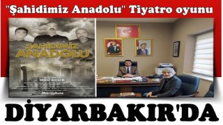 ''Şahidimiz Anadolu ''DİYARBAKIR'da