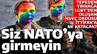 Siz NATO'ya girmeyin daha iyi: Çok renkli İsveç ordusunun LGBT askerleri