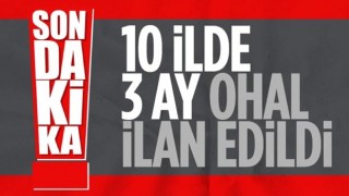 10 ilde 3 ay OHAL ilan edildi