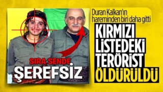 Kırmızı kategoride aranan terörist Dilek Özer ile 2 koruması Şırnak'ta öldürüldü