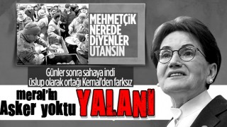 Meral Akşener, askerler sahada yoktu yalanını tekrarladı