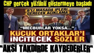 6'lı masayı karıştıracak açıklama! 'Küçük ortaklar'ı 'incitecek' sözler: Mecburlar yoksa..