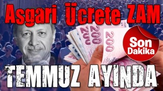 Asgari ücrete ara zam olacak mı son dakika? Temmuz ayında ara zam yapılacak mı? Bakan Vedat Bilgin TARİH VERDİ!