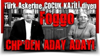 Mehmetçik'e katliamcı iftirası atan Hacer Foggo, CHP'den aday adayı oldu