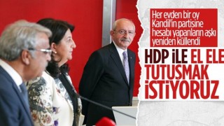 CHP'li Aytuğ Atıcı'dan HDP'ye: El ele tutuşmak istiyoruz...