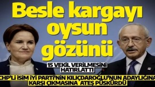 CHP'li isimden İYİ Parti'ye sert çıkış! 'Besle kargayı oysun gözünü'