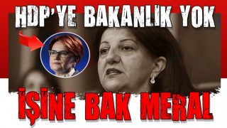 HDP'den Meral Akşener'e: Herkes işine baksın