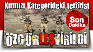 İçişleri Bakanı Soylu: Kırmızı Kategorideki terörist Hamiyet Yalçınkaya ÖLDÜRÜLDÜ