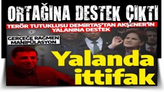 İttifak ortağı Demirtaş'tan Akşener'in 'kurşun' manipülasyonuna destek!