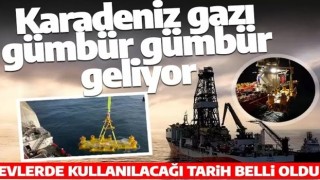 Karadeniz gazı evlerde ne zaman kullanılacak? Tarih belli oldu