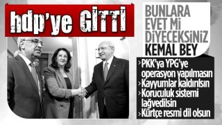 Meclis'te Kemal Kılıçdaroğlu-HDP görüşmesi