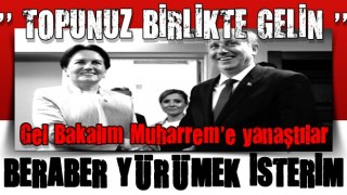 Meral Akşener Muharrem İnce'ye göz kırptı: Beraber yürümek isterim