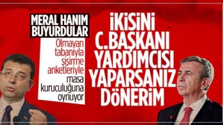 Meral Akşener'in son teklifi: Mansur Yavaş ve Ekrem İmamoğlu Cumhurbaşkanı Yardımcısı olsun