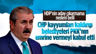 Mustafa Destici, HDP'nin aday çıkarmamasıyla ilgili konuştu