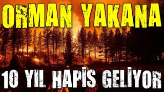 Orman yangınlarına neden olanlara 10 yıla kadar hapis cezası