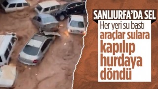 Şanlıurfa'da sağanak yağış sele döndü! Araçlar ve insanlar sürüklendi