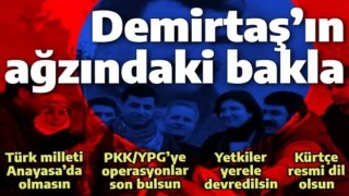 Selahattin Demirtaş'ın ağzındaki baklayı biz çıkaralım: İşte 11 maddelik bölücü plan