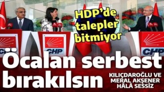 Teröristbaşı Öcalan serbest bırakılacak mı? CHP-HDP anlaşmasının en önemli maddesi