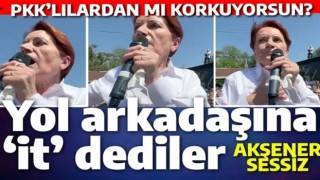 Yol arkadaşına 'it' dediler, Meral Akşener sessiz kaldı: İYİ Parti'li 'ülkücüler' nerede?