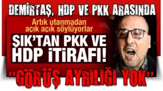 Artık utanmadan açık açık söylüyorlar! Ahmet Şık'tan PKK ve HDP itirafı