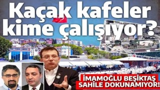 Beşiktaş'ta iskeleyi işgal eden kaçak kafeler kime çalışıyor? BAU ile Ekrem'in 'Polat Kardeşler'i...