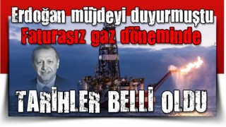 Cumhurbaşkanı Erdoğan müjdeyi duyurmuştu! Faturasız gaz döneminde tarih belli oldu