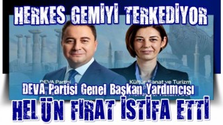 DEVA Partisi'nde üst düzey istifa