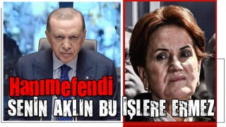 Erdoğan'dan Akşener'in papatya çayı önerisine cevap: Rezene iç!