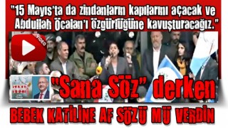 HDPKK'lı Feleknas Uca'dan terörist başı açıklaması: Öcalan'ı serbest bırakacağız